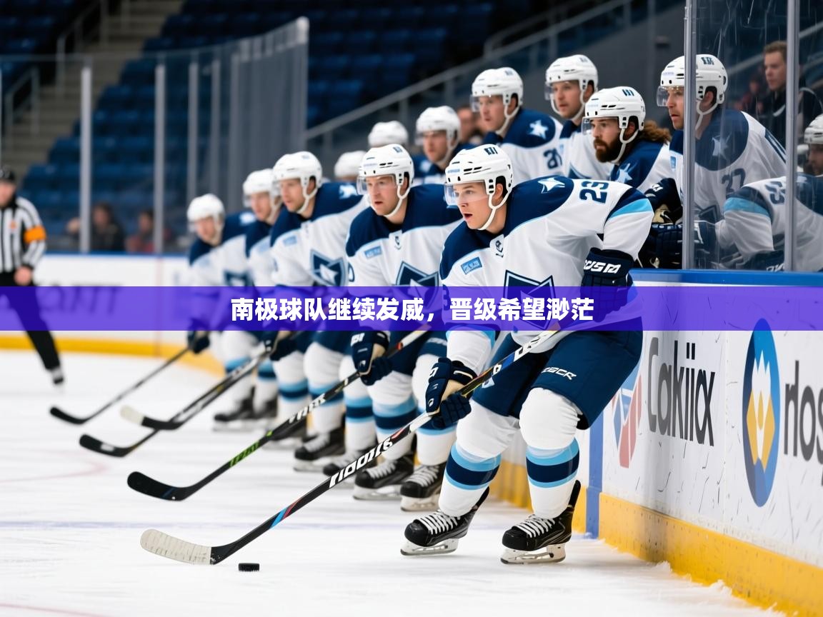 2025九游娱乐体育南极球队继续发威，晋级希望渺茫  第3张